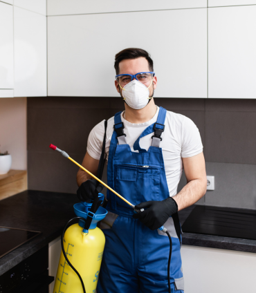 Facade Cleaning Services