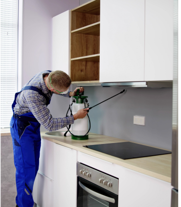 Pest Control Services